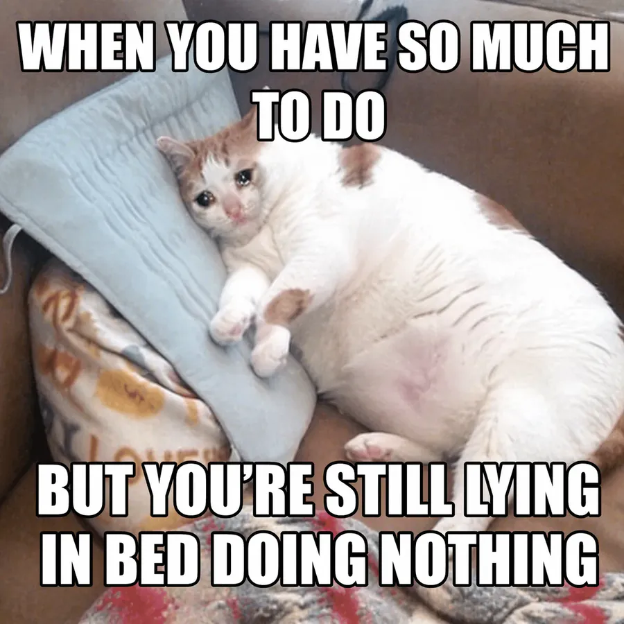English meme with caption text