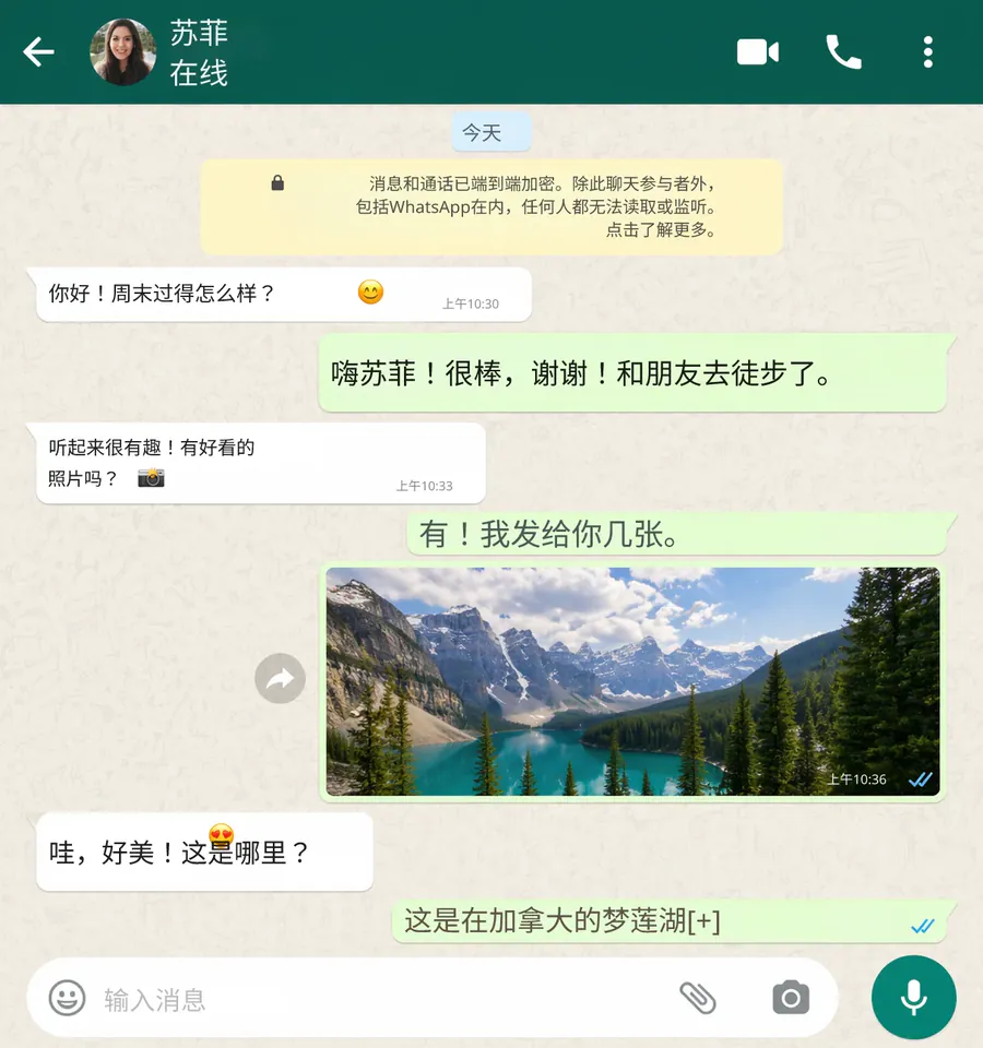 WhatsApp chat translated to Chinese by AI
